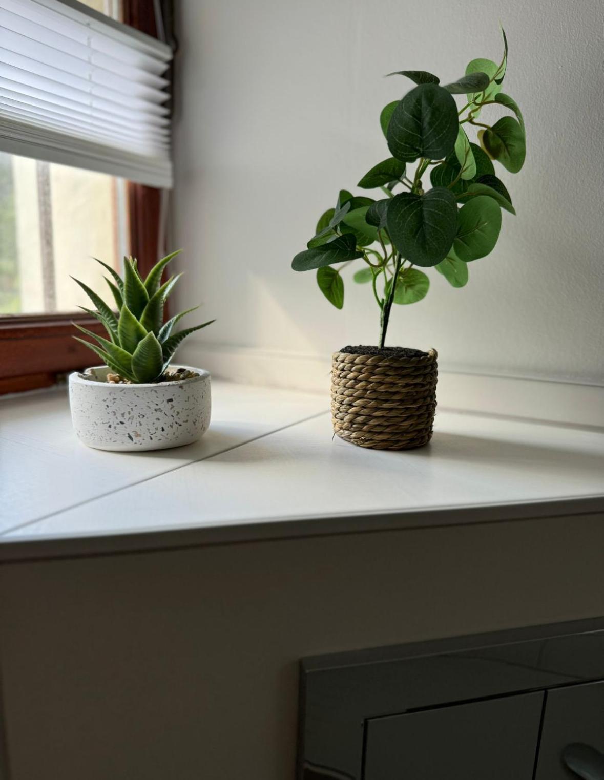 Ferienwohnung Neue Quickbox Thale Kültér fotó