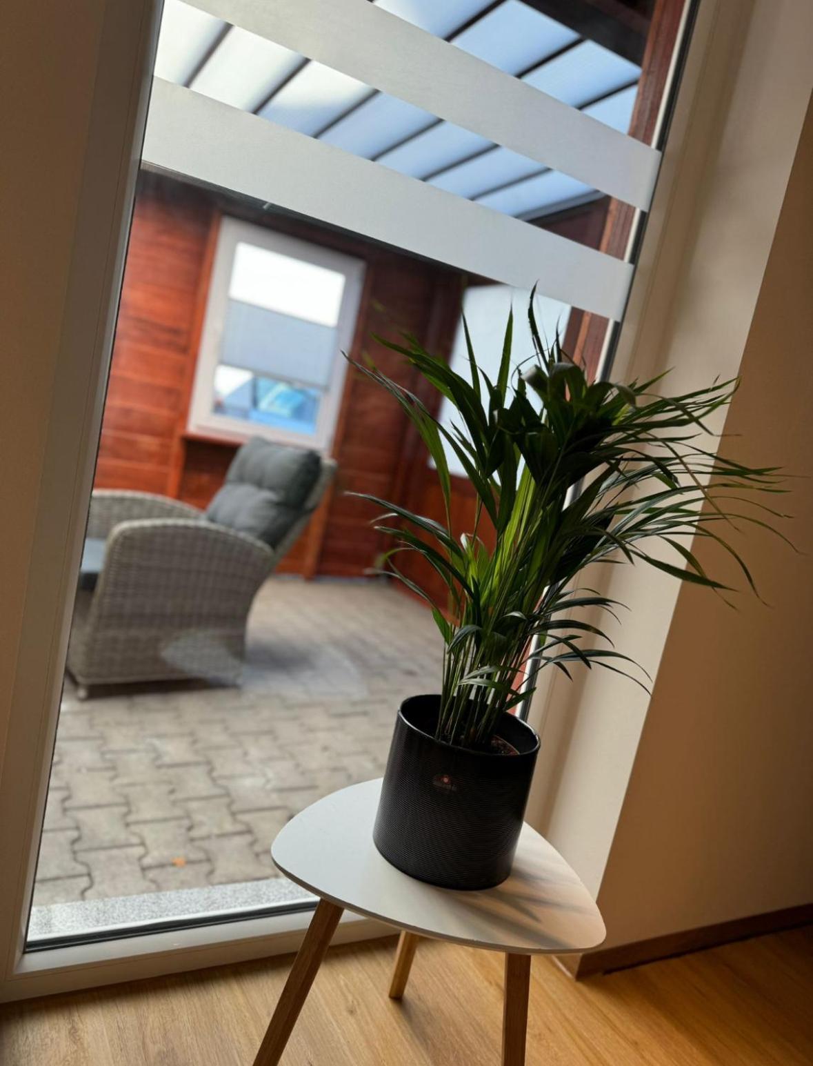 Ferienwohnung Neue Quickbox Thale Kültér fotó